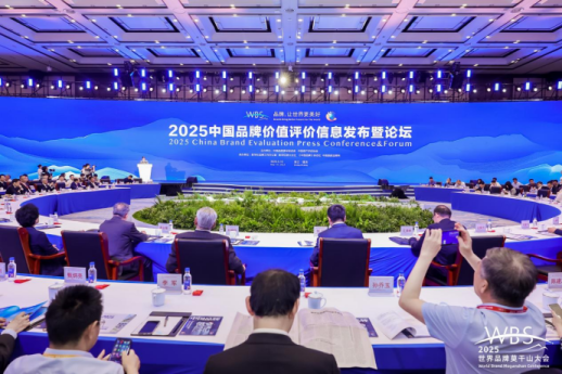 W020250711352780225650